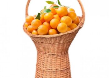 cos-market-suport-din-rachita-cu-maner-105cm-2379-1-0.jpg