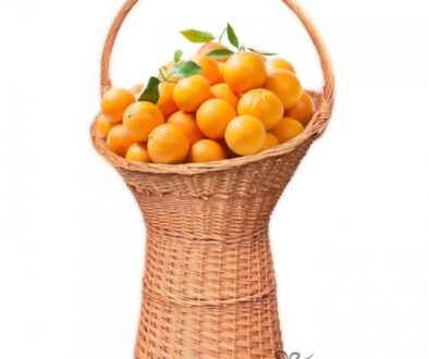 cos-market-suport-din-rachita-cu-maner-105cm-2379-1-0.jpg